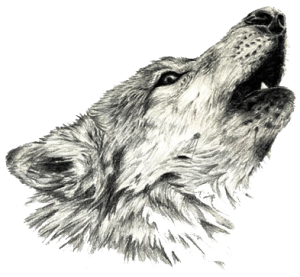 Roxbury Consulting Wolf